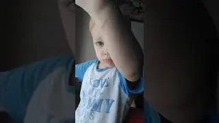 Вольфик опять ранен кошкой