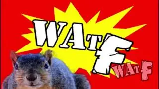 CUTE AND FUNNY ANIMALS