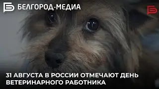 31 августа в России отмечают День ветеринарного работника