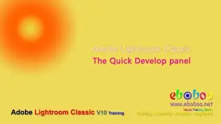 Adobe Lightroom Classic - The Quick Develop panel