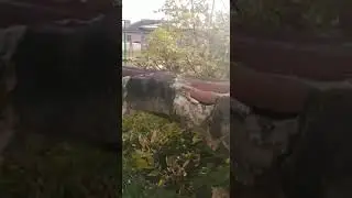 Двор в Низовом переулке