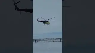 Мой кинотеатр показывает 3 дня одно и тоже.