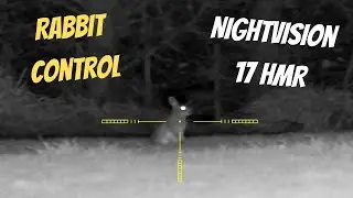Rabbit Pest Control with Nightvision