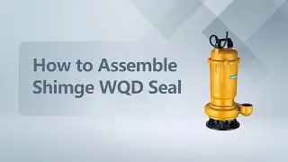 Shimge Guide: How to Assemble the WQD Double End-Face Mechanical Seal