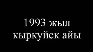 Жарбулак 1993 (Алакол)
