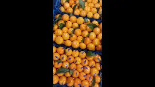 6 ноября 2021 г.Цена на мандарин новий урожай, Фуд - Сити 😋🛎🍊🍊🍊👈