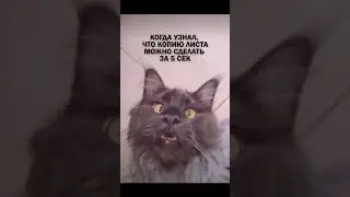 Пиши слово 