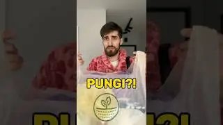 Privește până la final 😂 Descarcă Tipli de pe linkul din descrierea profilului 😉 #valeriucoada