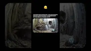 Теперь она Мама 🥹❤️ 