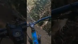 RED LINE ♦️ Bike Park Les Angles #bikepark #bikeparklesangles #lesangles #mtb #vtt #vttdh #viral
