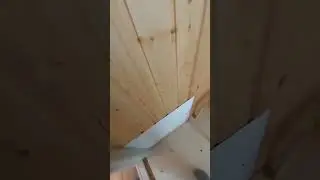 Эта "музыка" будет вечной!)))