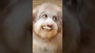 хахахах