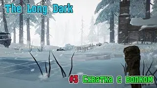 The Long Dark 2018 - Прохождение сюжета #3 Первая встреча с волком