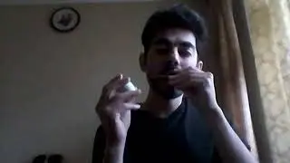 Tom's Diner on harmonica. #stratocastro #harmonica #harp #губнаягармошка