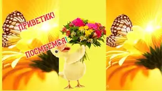 ПРИВЕТИК! Посмеемся!🧡💔❣💛💚💕💞