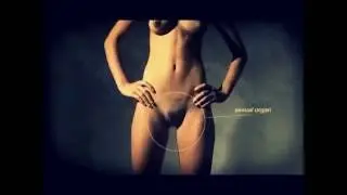 sexuality female reproductive system Organs Funtion and More..