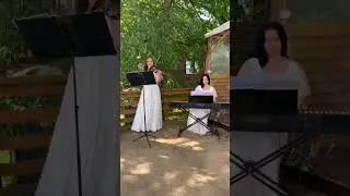 Shape of me Ed Sheeran  violin cover