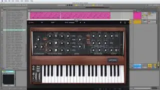 Arturia Mini v3 Presets & MIDI Files Audiotent Elastic (Melodic Techno)