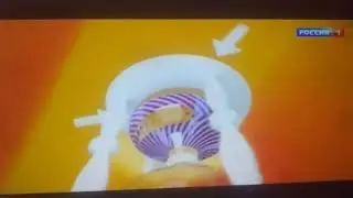 Начало телеигры Сто к одному (Россия-1, 07.07.2024) CamRip