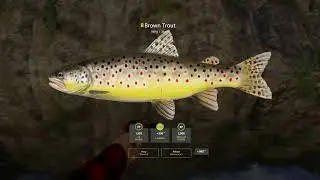 RF4 - [Belaya River] Active Spot 200S/45mins. more like 30? (4.3.2024)