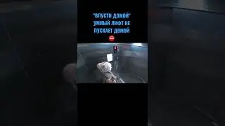 УМНЫЙ ЛИФТ НЕ ПУСКАЕТ ДОМОЙ ⛔ (выбрал момент с фразой 