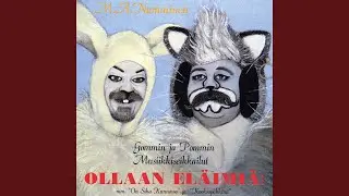 Kissa lääkärissä