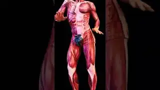 MUSCLE DANCE 