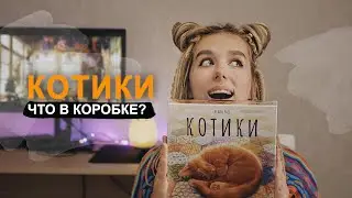 Настольная игра Котики: Уютная распаковка
