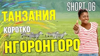 Сафари в Африке 🌴 Парк НгороНгоро