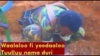 Jaallan koo hiriyyaa kan waliin dhalannee Warraqsa sabboonummaa kan waliin eegallee