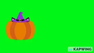 halloween black cat in pumkin free green screen ( crop out ) kapwing