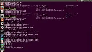 Linux Basics