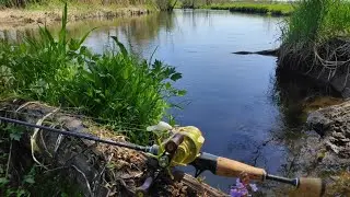 Рыбалка на реке. Голавль. Окунь. Уклейка на воблер