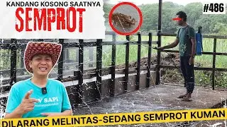 KANDANG KOSONG SAATNYA SEMPROT