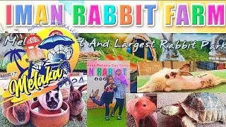 Iman Rabbit Farm Melaka 2024 #visitmelaka #melaka #2024 #fypp #rabbit #jalanjalan
