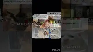 #meme