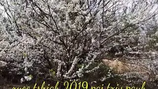 Yuav hlub koj xwb tswv yim vaj