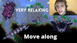 Just a relaxing Terraria video, move along