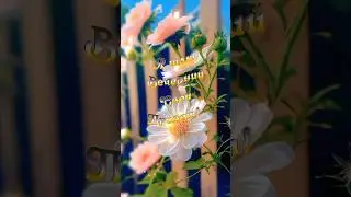 Добрый вечер!