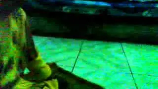 Video0005