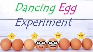 Dancing Egg Experiment | Rubber egg  | Egg with Vinegar trick