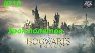 Hogwarts Legacy-Урок полетов