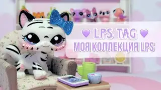 LPS TAG 