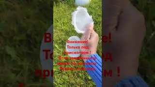 #анапскаяушастая