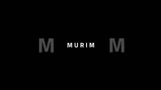 MANHWA W/ OP MC "MURIM" 💪