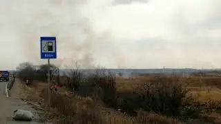 Пал травы Приморье