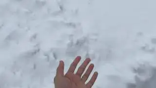 Look at this snow...