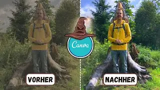 Magische KI-Bildoptimierung und mehr [Canva-Tutorial]