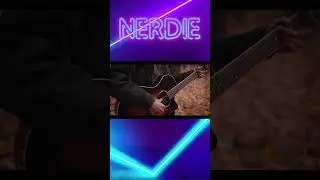NERDIE - когда осядет пыль | acoustic video