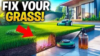 Genius Lawn Care Hacks Every Homeowner Should Know